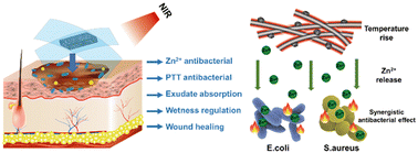 Graphical abstract: A multifunctional PAN/PVP nanofiber sponge wound dressing loaded with ZIF-8-derived carbon nanoparticles with adjustable wetness for rapid wound disinfection and exudate management