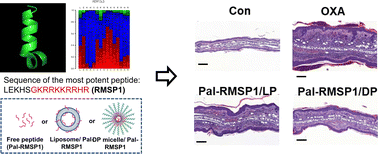 Graphical abstract: Development and application of novel peptide-formulated nanoparticles for treatment of atopic dermatitis