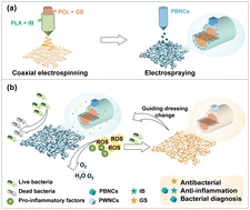 Graphical abstract: Multifunctional nanofibrous mats: toward antibacterial and anti-inflammatory applications, and visual bacterial diagnosis