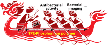 Graphical abstract: A fluorescent quaternary phosphonium main-chain-type polymer: an opportunity to fabricate functional materials with excellent antibacterial activity and bacterial imaging capability