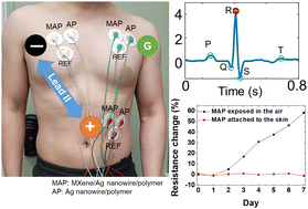 Graphical abstract: Static electricity-based motion artifact-free electrocardiography with novel Ti3C2Tx MXene/Ag nanowire/polymer hybrid dry electrodes
