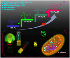 Graphical abstract: Molecular engineering to enhance the reactive oxygen species generation of AIEgens and exploration of their versatile applications