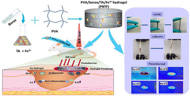 Graphical abstract: A multifunctional hydrogel dressing with high tensile and adhesive strength for infected skin wound healing in joint regions