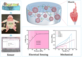 Graphical abstract: A novel multi-scale pressure sensing hydrogel for monitoring the physiological signals of long-term bedridden patients