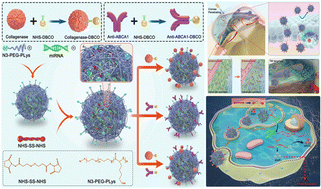 Graphical abstract: Reduction-responsive polymeric micelles for trans-corneal targeted delivery of microRNA-21-5p and glaucoma-specific gene therapy