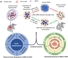 Graphical abstract: The Curie temperature: a key playmaker in self-regulated temperature hyperthermia