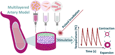 Graphical abstract: Remodeling arteries: studying the mechanical properties of 3D-bioprinted hybrid photoresponsive materials