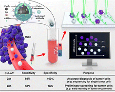 Graphical abstract: A novel dual-function SERS-based identification strategy for preliminary screening and accurate diagnosis of circulating tumor cells