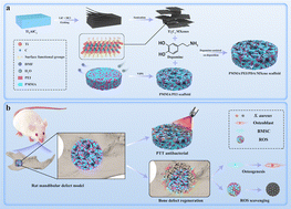 Graphical abstract: A Ti3C2 MXene-integrated near-infrared-responsive multifunctional porous scaffold for infected bone defect repair