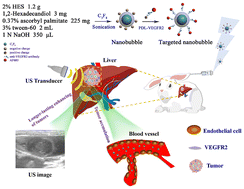 Graphical abstract: Novel anti-VEGFR2 antibody-conjugated nanobubbles for targeted ultrasound molecular imaging in a rabbit VX2 hepatic tumor model