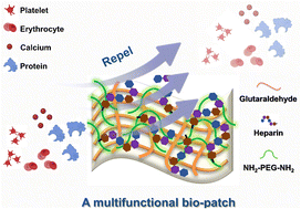 Graphical abstract: A multifunctional bio-patch crosslinked with glutaraldehyde for enhanced mechanical performance, anti-coagulation properties, and anti-calcification properties