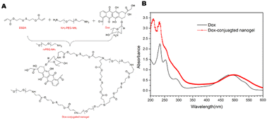 Graphical abstract: A glutathione-responsive PEGylated nanogel with doxorubicin-conjugation for cancer therapy