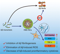 Graphical abstract: Albumin–manganese dioxide nanocomposites: a potent inhibitor and ROS scavenger against Alzheimer's β-amyloid fibrillogenesis and neuroinflammation