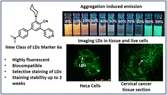 Graphical abstract: A new class of teraryl-based AIEgen for highly selective imaging of intracellular lipid droplets and its detection in advanced-stage human cervical cancer tissues