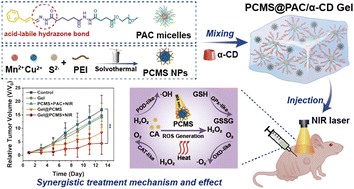 Graphical abstract: A pH-responsive supramolecular hydrogel encapsulating a CuMnS nanoenzyme catalyst for synergistic photothermal–photodynamic–chemodynamic therapy of tumours