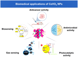 Graphical abstract: Biomedical applications of cerium vanadate nanoparticles: a review