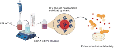 Graphical abstract: Pre-formulation of an additive combination of two antimicrobial agents, clofazimine and nisin A, to boost antimicrobial activity