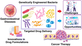 Graphical abstract: Genetically engineered bacteria: a new frontier in targeted drug delivery
