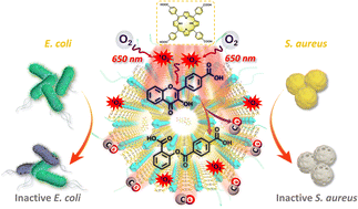 Graphical abstract: Red light-triggered release of ROS and carbon monoxide for combinational antibacterial application