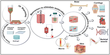 Graphical abstract: Emerging perspectives on 3D printed bioreactors for clinical translation of engineered and bioprinted tissue constructs