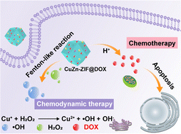 Graphical abstract: Rational design of copper(i)-doped metal–organic frameworks as dual-functional nanocarriers for combined chemo–chemodynamic therapy
