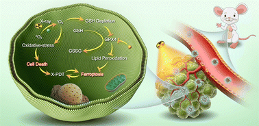 Graphical abstract: Application of singlet oxygen-activatable nanocarriers to boost X-ray-induced photodynamic therapy and cascaded ferroptosis for breast cancer treatment