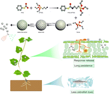 Graphical abstract: Fabrication of ROS-responsive nanoparticles by modifying the interior pore-wall of mesoporous silica for smart delivery of azoxystrobin