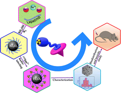 Graphical abstract: 153Sm-labeled Fe3O4@lapatinib nanoparticles as a potential therapeutic agent for breast cancer: synthesis, quality control, and in vivo evaluation