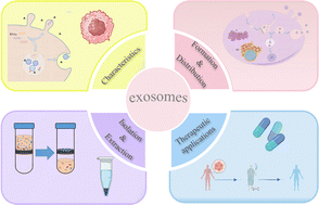 Graphical abstract: Application of exosomes as nanocarriers in cancer therapy