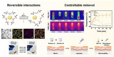 Graphical abstract: Injectable spontaneously formed asymmetric adhesive hydrogel with controllable removal for wound healing