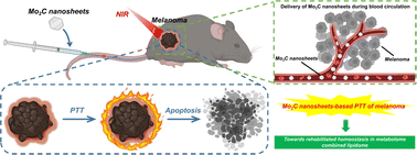 Graphical abstract: Integrated metabolomics revealed the photothermal therapy of melanoma by Mo2C nanosheets: toward rehabilitated homeostasis in metabolome combined lipidome