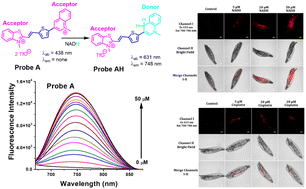 Graphical abstract: Sensitive monitoring of NAD(P)H levels within cancer cells using mitochondria-targeted near-infrared cyanine dyes with optimized electron-withdrawing acceptors