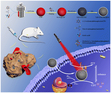 Graphical abstract: Precise design of dual active-site catalysts for synergistic catalytic therapy of tumors