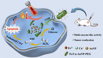 Graphical abstract: Fe/Cu–AuNP nanocomposites as enzyme-like catalysts to modulate the tumor microenvironment for enhanced synergistic cancer therapy