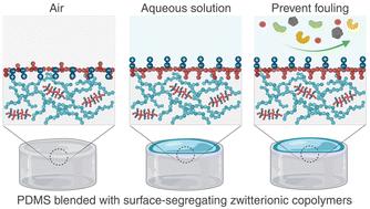 Graphical abstract: Surface-segregating zwitterionic copolymers to control poly(dimethylsiloxane) surface chemistry