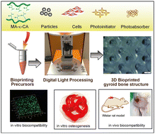 Graphical abstract: Visible light-based 3D bioprinted composite scaffolds of κ-carrageenan for bone tissue engineering applications