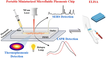 Graphical abstract: Portable microfluidic plasmonic chip for fast real-time cardiac troponin I biomarker thermoplasmonic detection