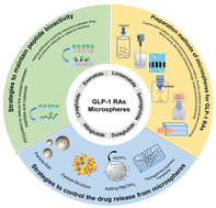 Graphical abstract: A review of recent research and development on GLP-1 receptor agonists-sustained-release microspheres