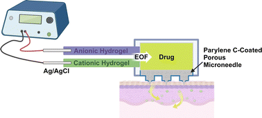 Graphical abstract: Transdermal drug delivery using a porous microneedle device driven by a hydrogel electroosmotic pump