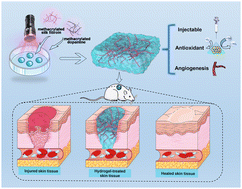 Graphical abstract: An injectable photocuring silk fibroin-based hydrogel for constructing an antioxidant microenvironment for skin repair