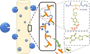 Graphical abstract: Polymer–prodrug conjugates as candidates for degradable, long-acting implants, releasing the water-soluble nucleoside reverse-transcriptase inhibitor emtricitabine