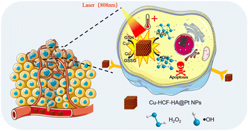 Graphical abstract: A copper–platinum nanoplatform for synergistic photothermal and chemodynamic tumor therapy via ROS outburst and GSH exhaustion