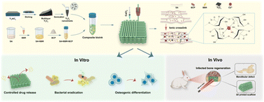 Graphical abstract: Study on 3D printed MXene-berberine-integrated scaffold for photo-activated antibacterial activity and bone regeneration