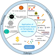 Graphical abstract: The application of nanoparticles based on ferroptosis in cancer therapy