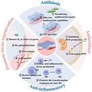 Graphical abstract: Recent advances of hydrogels as smart dressings for diabetic wounds