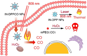Graphical abstract: H2O2-triggered controllable carbon monoxide delivery for photothermally augmented gas therapy