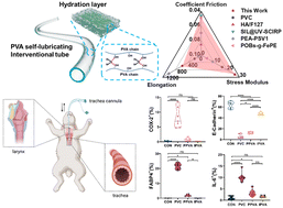 Graphical abstract: Robust and self-lubricating polyvinyl alcohol tubes with a mucosa-like hierarchical architecture for endotracheal intubation