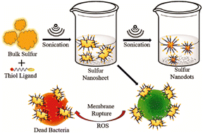 Graphical abstract: Thiol ligand-mediated exfoliation of bulk sulfur to nanosheets and nanodots: applications in antibacterial activity