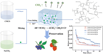 Graphical abstract: Self-triggered carboxymethyl chitosan hydrogel for the convenient sustained release of ClO2 gas with environmental stability and long-term antimicrobial effect