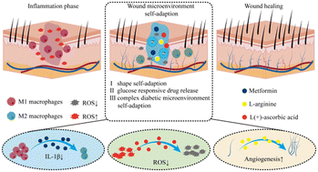 Graphical abstract: Wound microenvironment self-adaptive all-in-one hydrogel for rapid healing of the diabetic wound